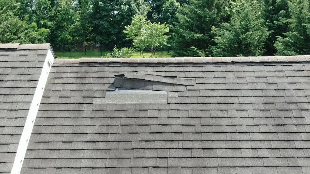 Damaged roof showing common repair needs